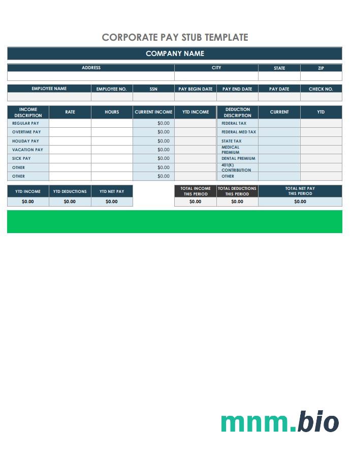 Corporate Pay Stub Template